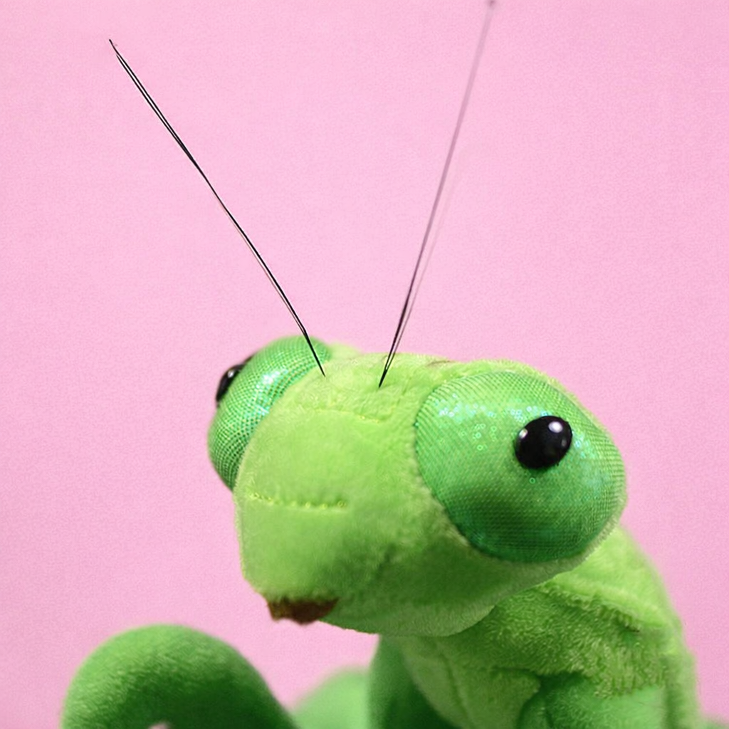 Mantis Friend ♡