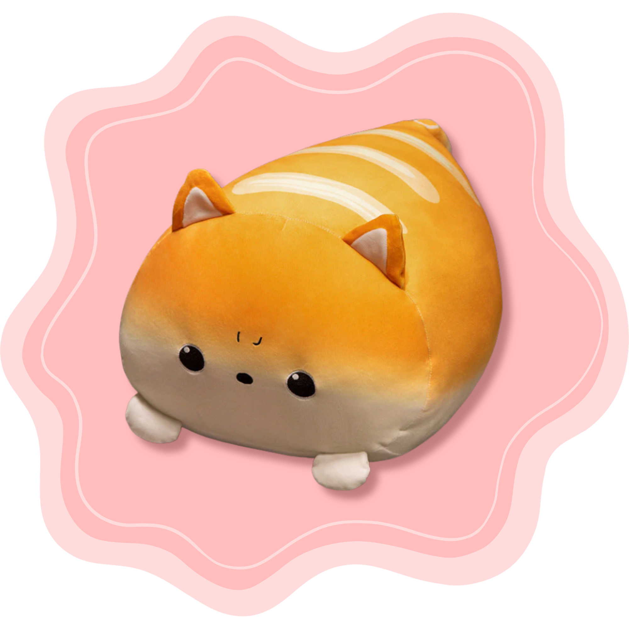 Bread Cat ♡