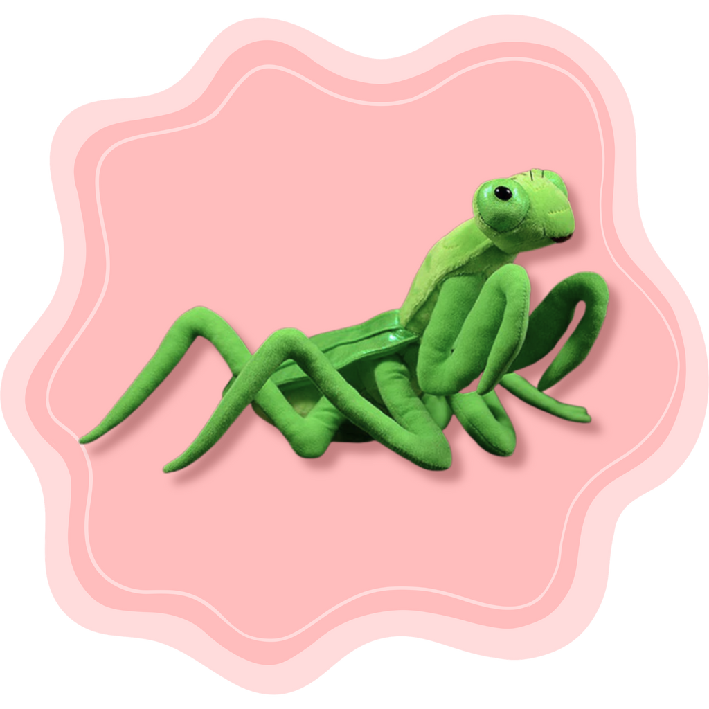 Mantis Friend ♡