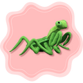 Mantis Friend ♡