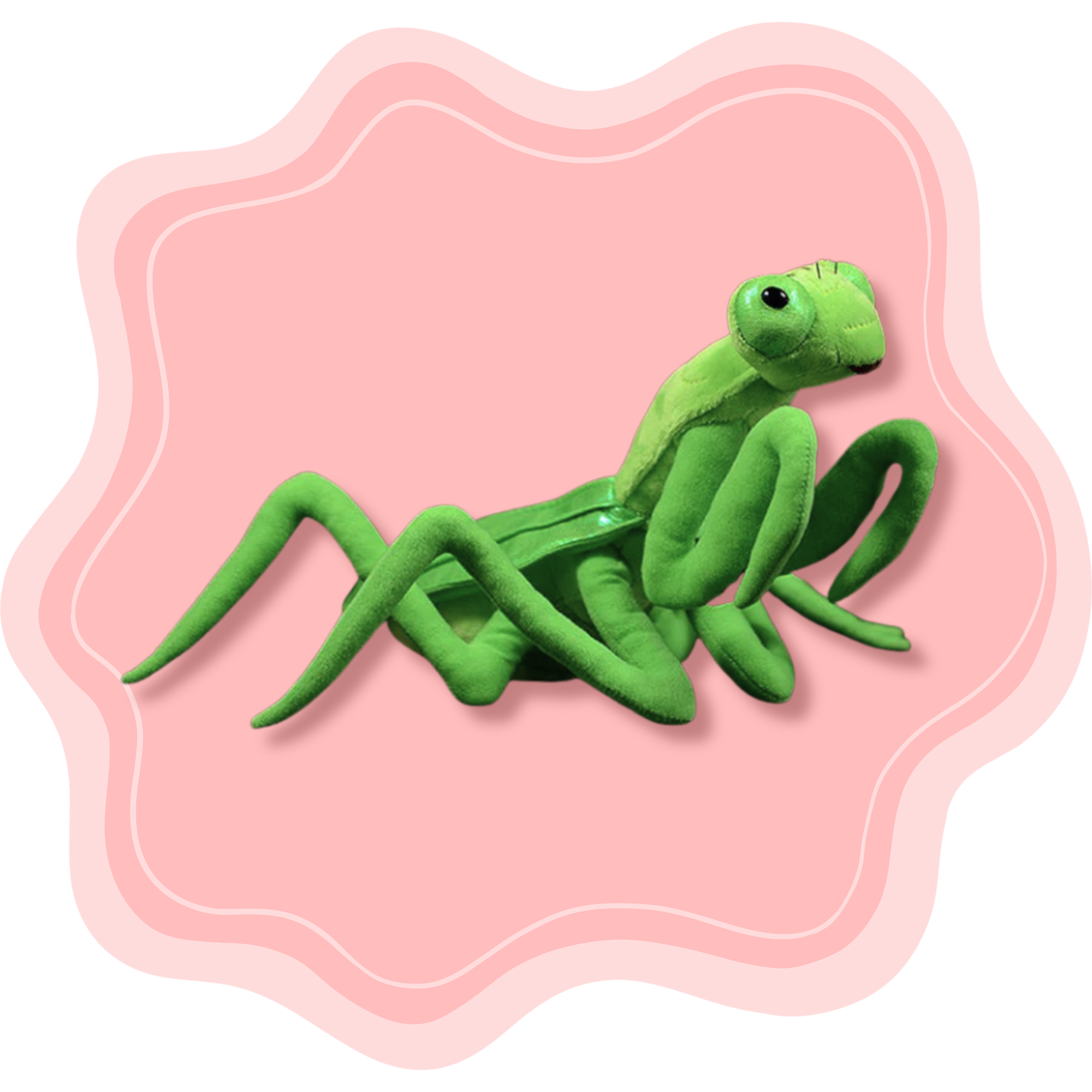 Mantis Friend ♡