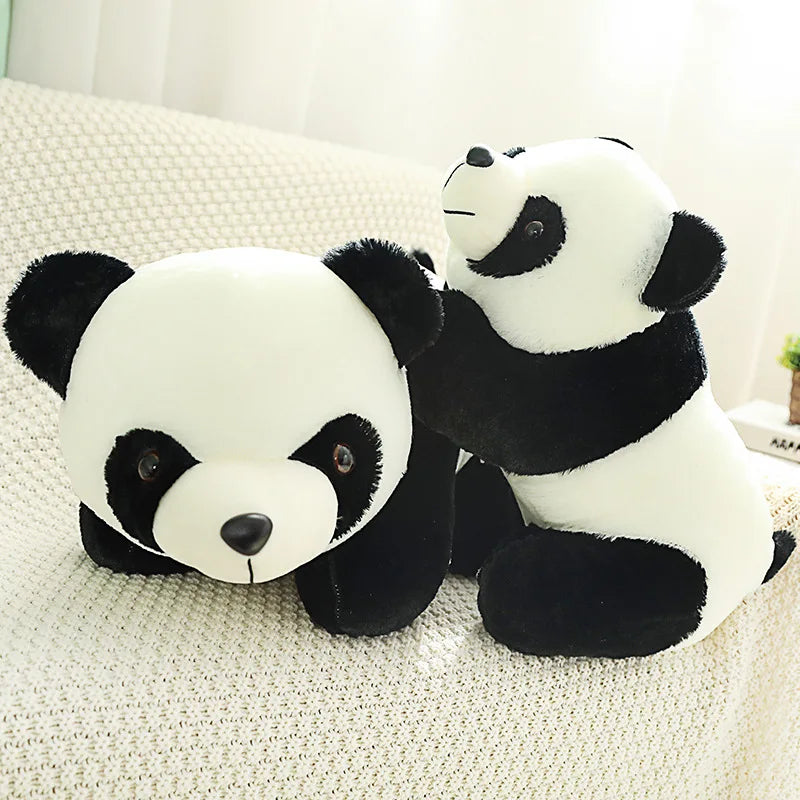 Panda Friend ♡