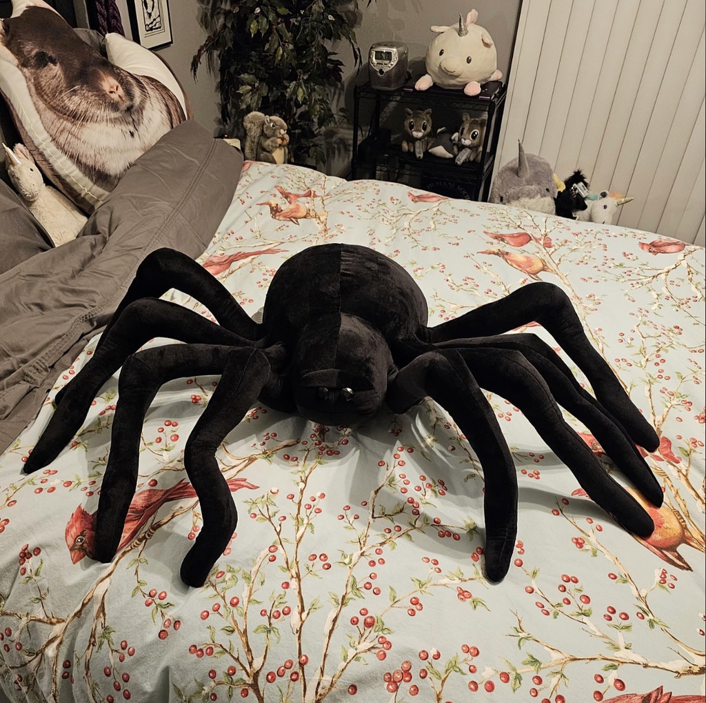 Spider Friend ♡